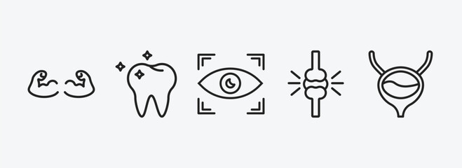 medical outline icons set. medical icons such as strong, molar, eye scanner medical, knee, bladder vector. can be used web and mobile.