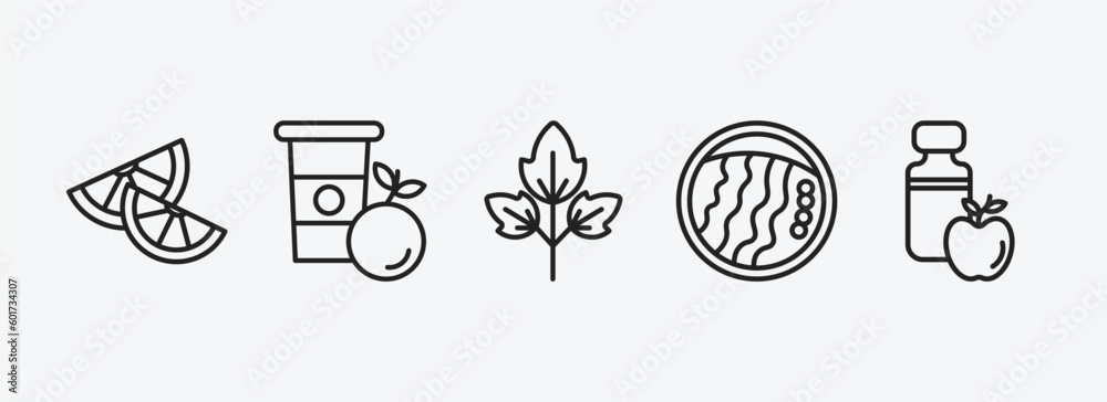 Wall mural food and restaurant outline icons set. food and restaurant icons such as lemon slice, healthy shakes, raspberry leaf, wonton noodles, cider vector. can be used web and mobile. - Wall murals