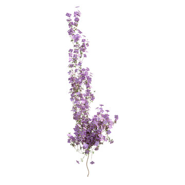3d render illustration clematis tree falling vines isolated