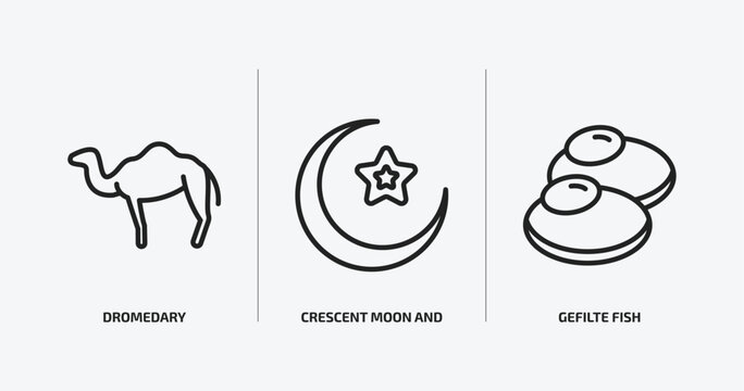 religion outline icons set. religion icons such as dromedary, crescent moon and star, gefilte fish vector. can be used web and mobile.