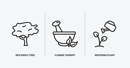 nature outline icons set. nature icons such as red maple tree, flower therapy, watering plant vector. can be used web and mobile.