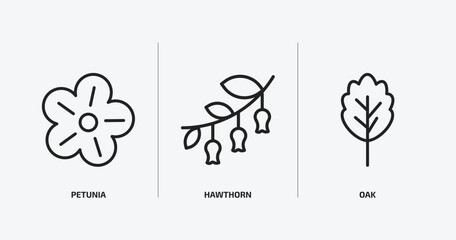 nature outline icons set. nature icons such as petunia, hawthorn, oak vector. can be used web and mobile.