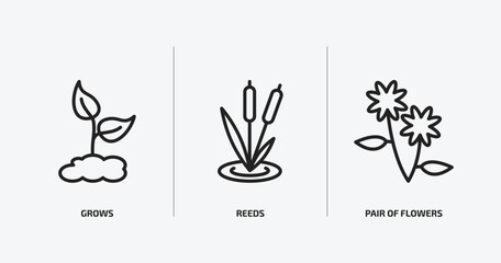 nature outline icons set. nature icons such as grows, reeds, pair of flowers vector. can be used web and mobile.