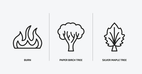 nature outline icons set. nature icons such as burn, paper birch tree, silver maple tree vector. can be used web and mobile.