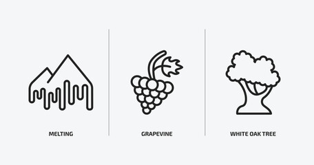 nature outline icons set. nature icons such as melting, grapevine, white oak tree vector. can be used web and mobile.