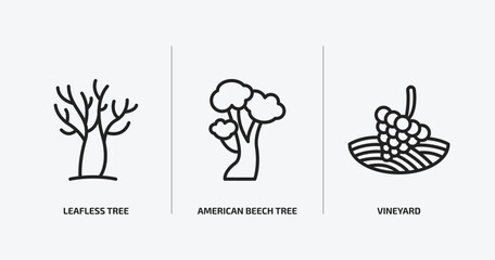 nature outline icons set. nature icons such as leafless tree, american beech tree, vineyard vector. can be used web and mobile.