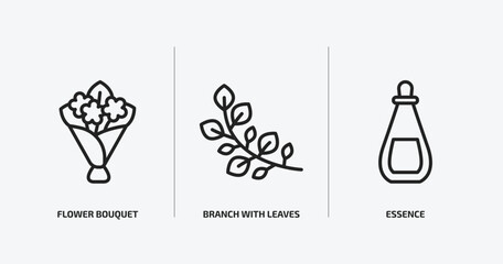 nature outline icons set. nature icons such as flower bouquet, branch with leaves, essence vector. can be used web and mobile.