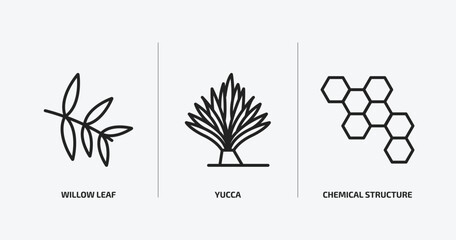 nature outline icons set. nature icons such as willow leaf, yucca, chemical structure vector. can be used web and mobile.