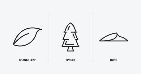 nature outline icons set. nature icons such as orange leaf, spruce, dune vector. can be used web and mobile.