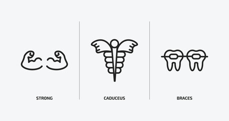 medical outline icons set. medical icons such as strong, caduceus, braces vector. can be used web and mobile.