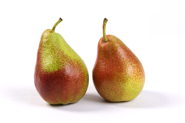 Forelle pair of pears on white BG