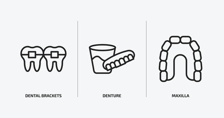 dentist outline icons set. dentist icons such as dental brackets, denture, maxilla vector. can be used web and mobile. © Farahim