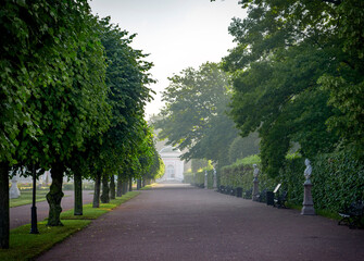 Fototapeta na wymiar Wonderful views of the morning park in the sunny haze