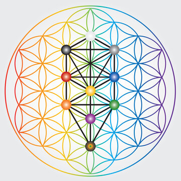 Symbole de la fleur de vie aux couleurs de l'arc-en-ciel, roue &eacute;nerg&eacute;tique de l'univers cosmique, arbre des s&eacute;phiroth, kabbale