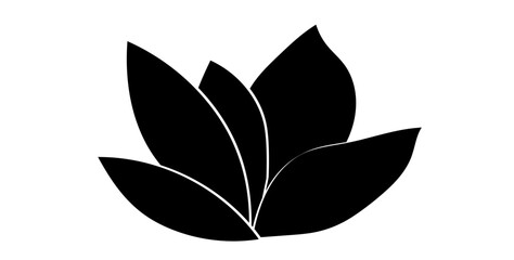 graphical magnolia flower. Vector. © meranda