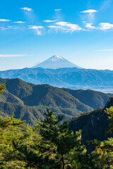 Naklejka na ściany i meble Mount Fuji, the World Heritage. Beautiful scenery view, pine forests in foreground, blue sky and white clouds in background. Shosenkyo observation station, Kofu City, Yamanashi Prefecture, Japan