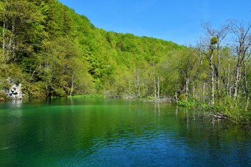 View of Gradinsko jezero lake at Plitvice lakes in Lika-Senj county, Croatia