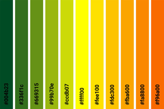 Abstract Colored Palette Guide. Table color shades. Color harmony. Trend colors. Vector illustration EPS 10 File.