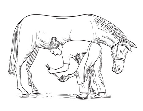 recommend clip art: Comics style drawing or illustration of a female farrier placing horseshoe on the horse hoof viewed from the side on isolated background in black and white retro style.