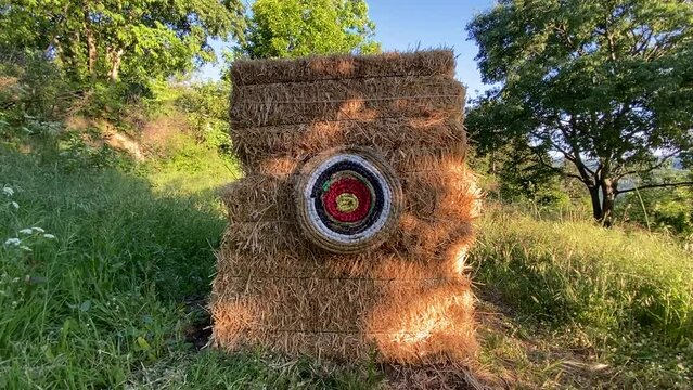 Cible de tir &agrave; l&rsquo;arc dans un jardin, C&eacute;vennes