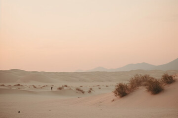 Minimalist desert scene