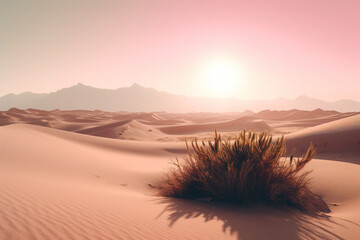 Minimalist desert scene