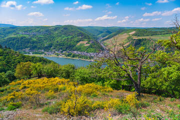 View from the Wisper Trail near Lorchhausen/Germany down into the valley on the Rhine