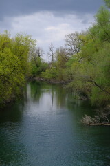 A small river in Germany near Vieux-Brisach.