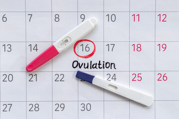 Ovulation day marked on calendar for pregnancy planning