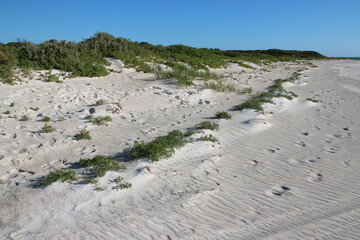 dune in cervantes in australia