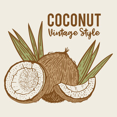 coconut hand drawn illustration in vintage style - obrazy, fototapety, plakaty