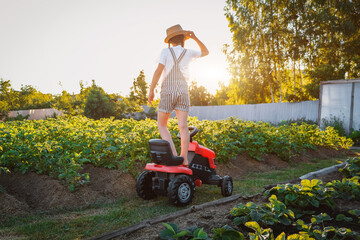 child girl admires the sunset standing on a pedal tractor in the backyard in the garden in the village.