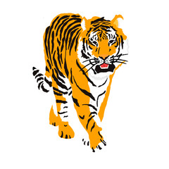 tiger illustration