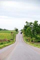 amish buggy in the distance on country road in rolling hills