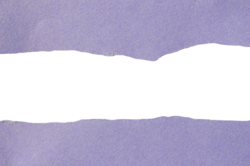 Torn paper piece on transparent background. Png ripped paper.