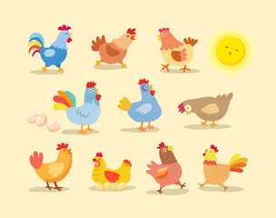 Vector coloured chicken collection, vector illustration