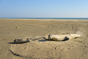 Fototapeta na wymiar Sandy beach near Salin de Giraud on a sunny day in springtime