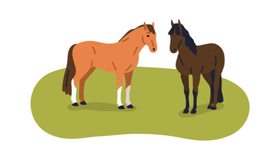 Horses couple standing on grass. Stallion and mare, two equine animals, steeds on lawn, farm field, pasture in nature. Flat vector illustration isolated on white background