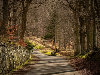 Haysoun and Crookston Burn Path