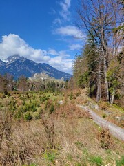 Obraz premium Trail to Castle Ruins in Austria