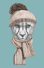Portrait of Cheetah with hat and scarf. Hand-drawn illustration.