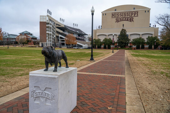 Starkville, MS - December 2020: A statue of the school's mascot "Bully" sits at the Junction outside of Davis-Wade Stadium on the campus of Mississippi State University.