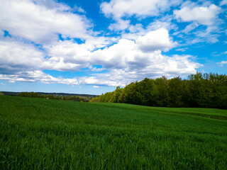 Cloudy sky over fields and meadows.