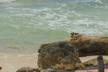 rocks on the beach