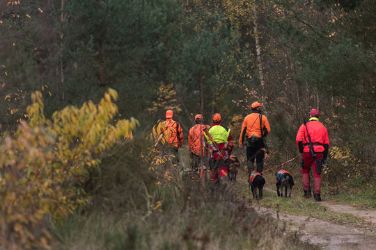 Jagdhelfer im Einsatz