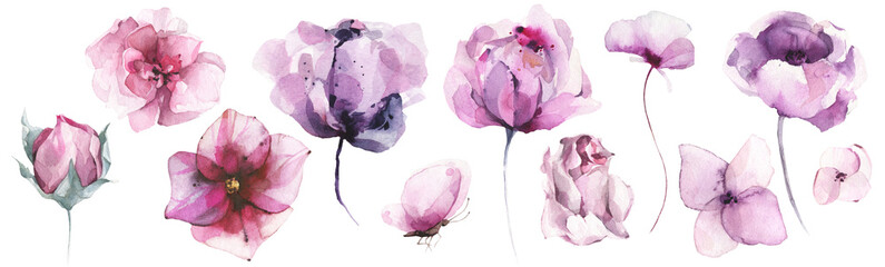 Watercolor floral set of violet, pink poppy, rose, peony, lotus, wild flowers, butterfly. Cut out hand drawn PNG illustration on transparent background. Watercolour clipart drawing. - obrazy, fototapety, plakaty