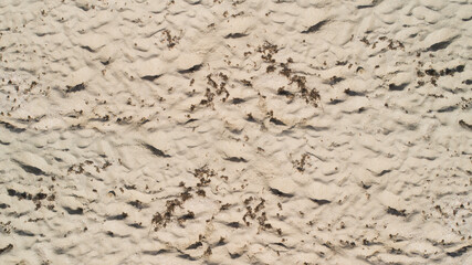 sand beach. top view, drone view. 