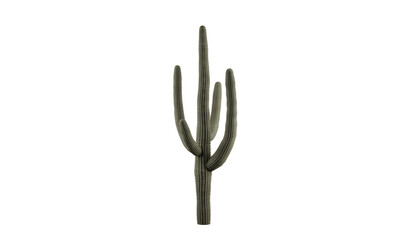 Captivating Saguaro Cactus on a Transparent Background. Cactus on transparent background. 3D render. © snesivan