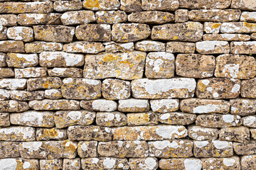 Lichen growing on a dry stone wall in the Cotswold village of Great Barrington, Gloucestershire UK
