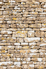Lichen growing on a dry stone wall in the Cotswold village of Great Barrington, Gloucestershire UK